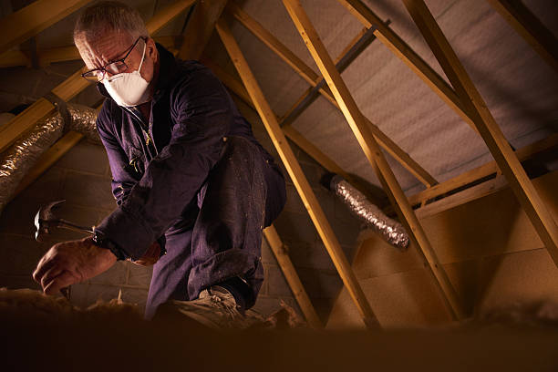 Best Geographic-Specific Insulation Services in Coopertown, TN