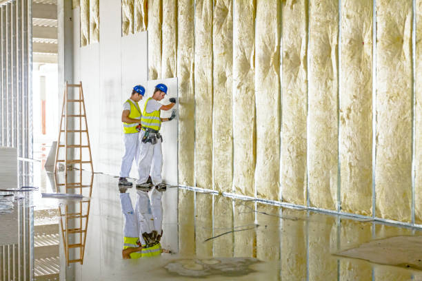 Types of Insulation We Offer in Coopertown, TN